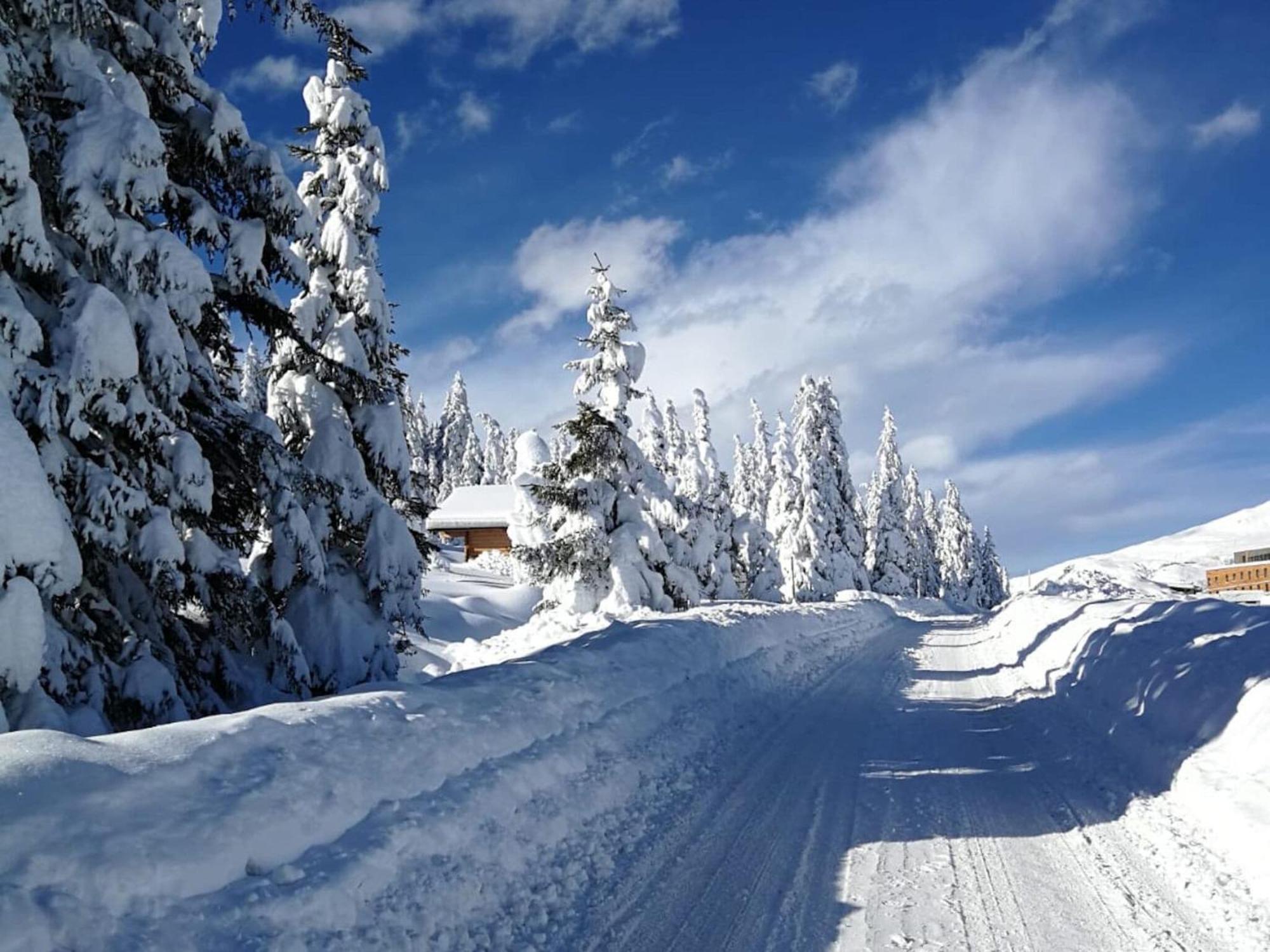Flat South Of Kitzb Hel With Nationalparkcard Apartment Hollersbach im Pinzgau Bagian luar foto